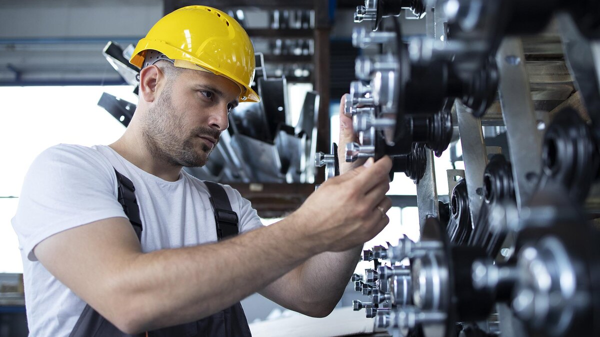    Фото: freepik.com/aleksandarlittlewolf