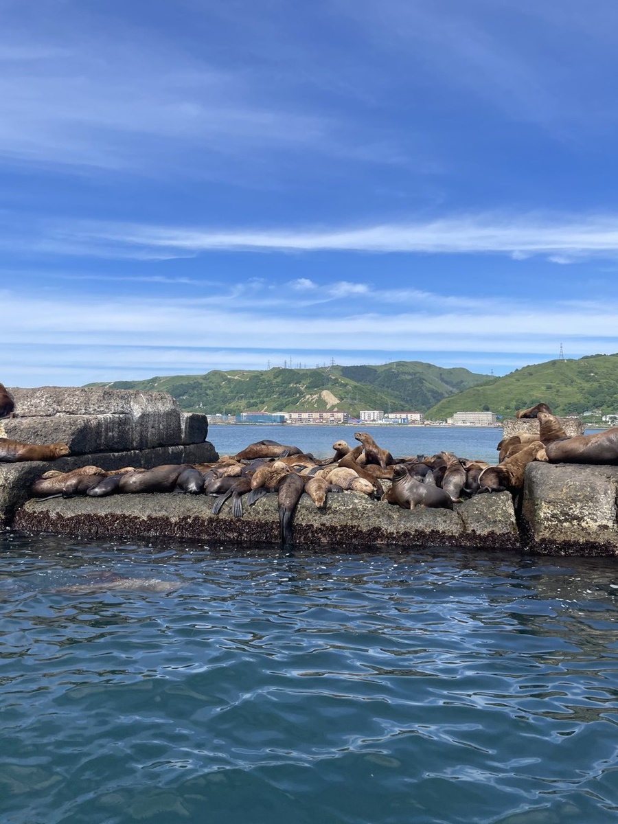 г. Невельск.