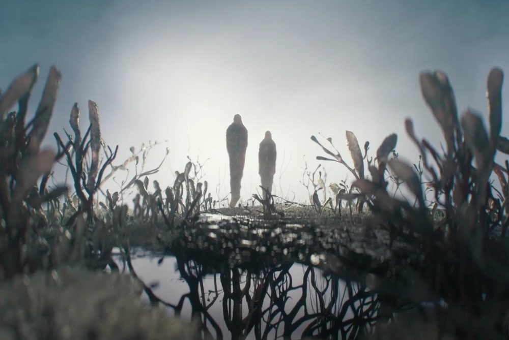     Кадр из 2 сезона сериала «Одни из нас» (2025)