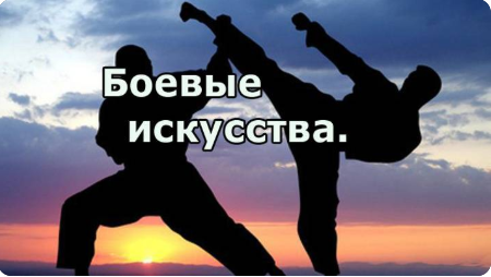 Раздел о боевых искусствах
