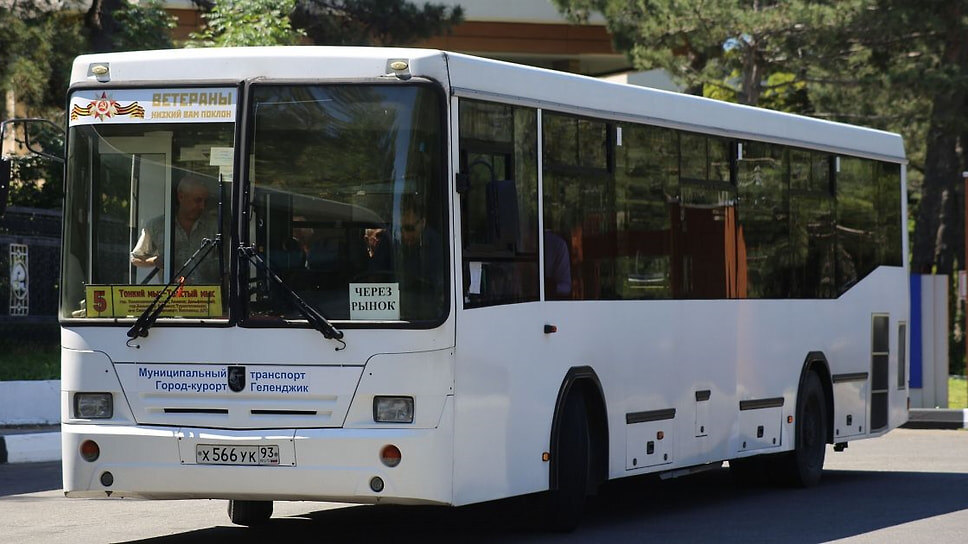 Фото: пресс-служба администрации Геленджика