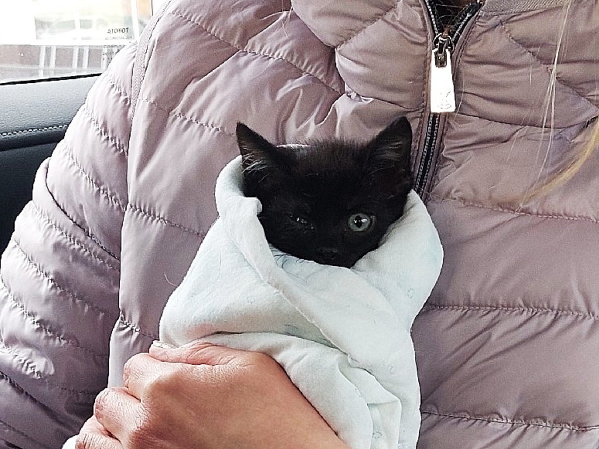 Поехали в новую жизнь