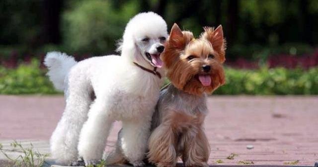 Источник фото Яндекс картинки 