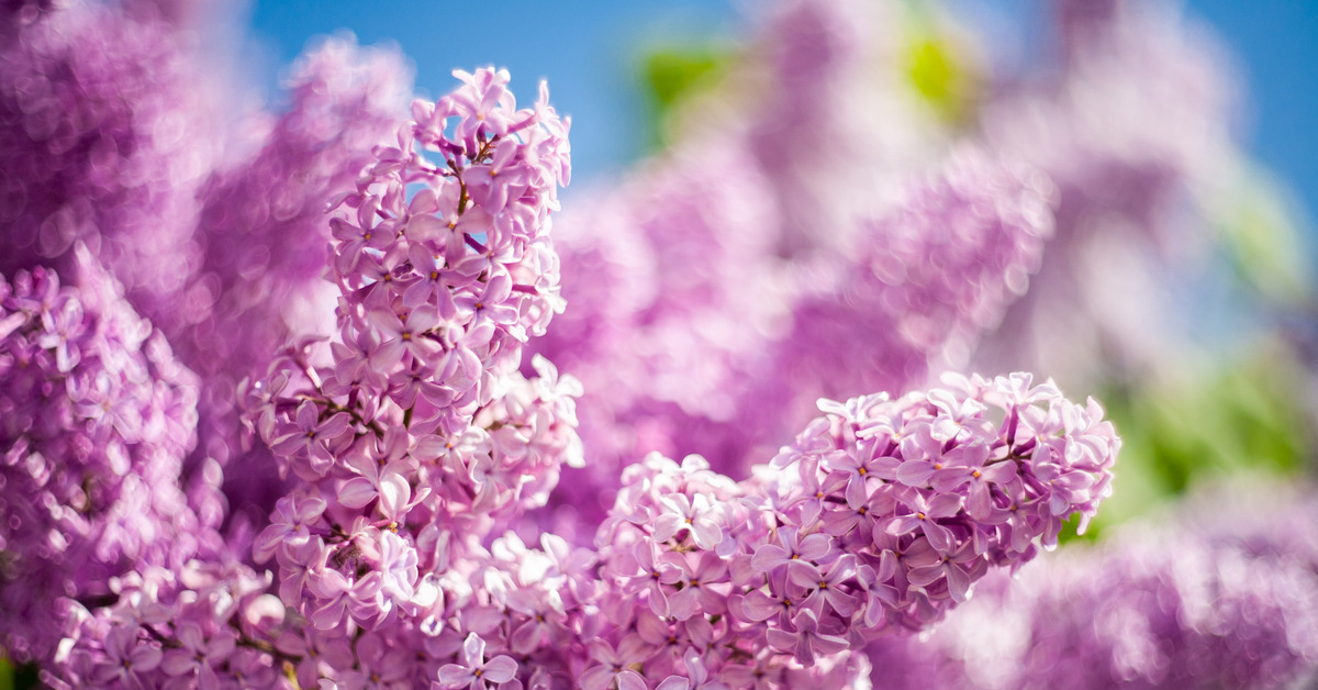  Май откроет так называемый коридор трансформаций. Фото с портала pikabu