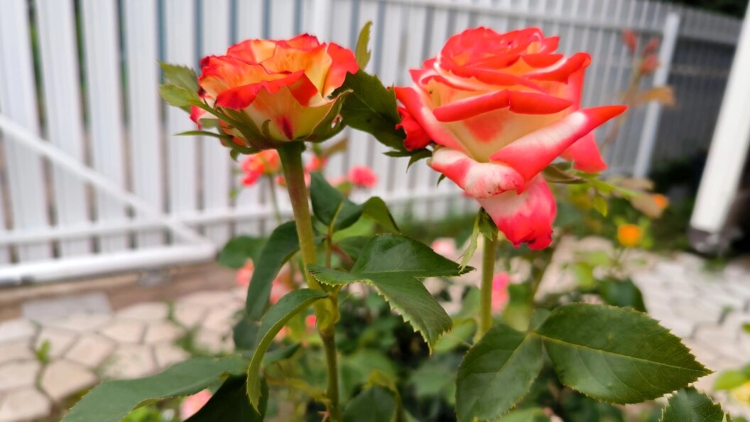    Фото: Maksim Konstantinov/Globallookpress