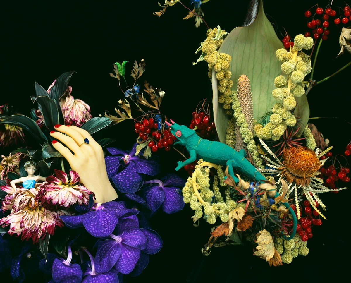    Араки Нобуёси, Monstrous Paradise, 2017 год