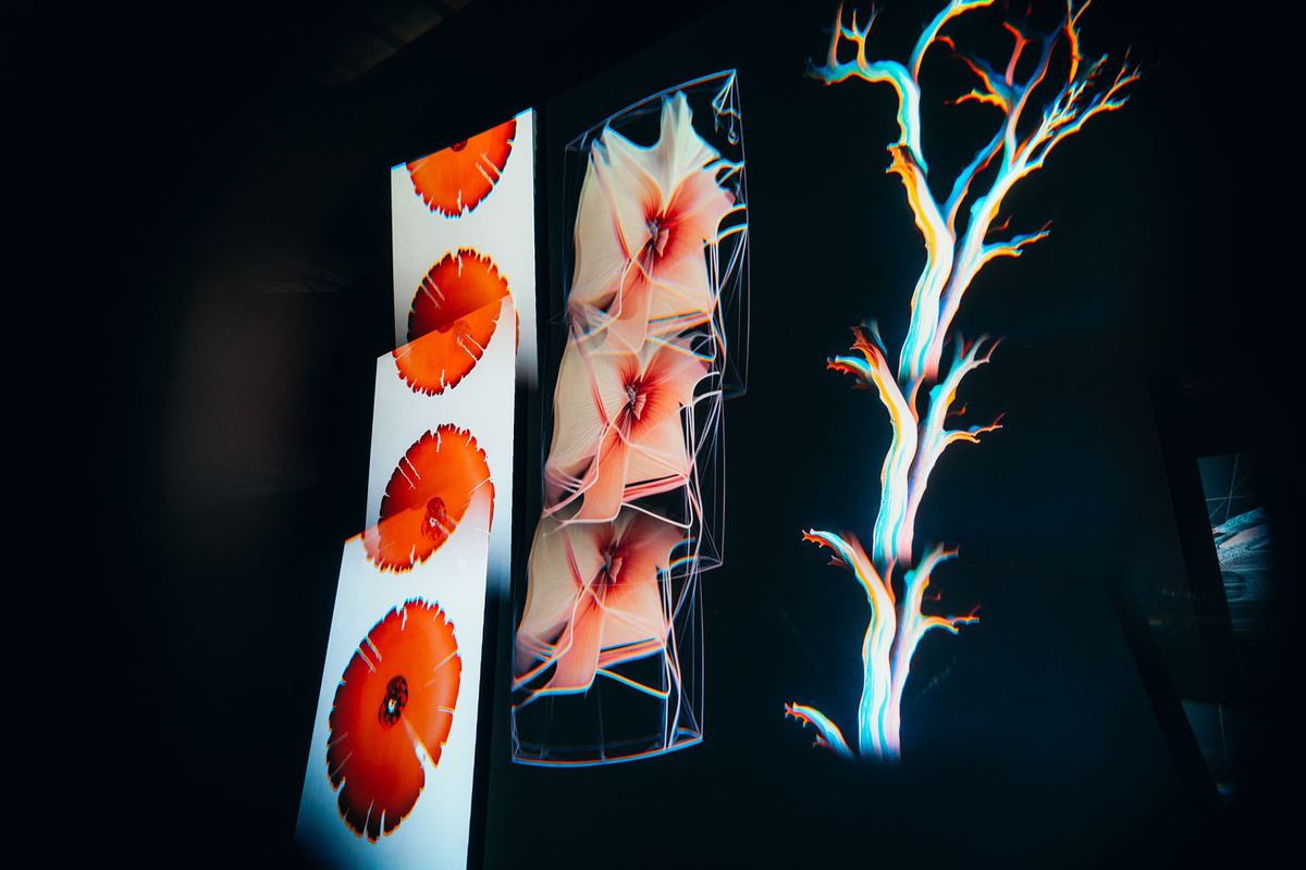    Выставка цифрового искусства фестиваля НУР, 2024 год