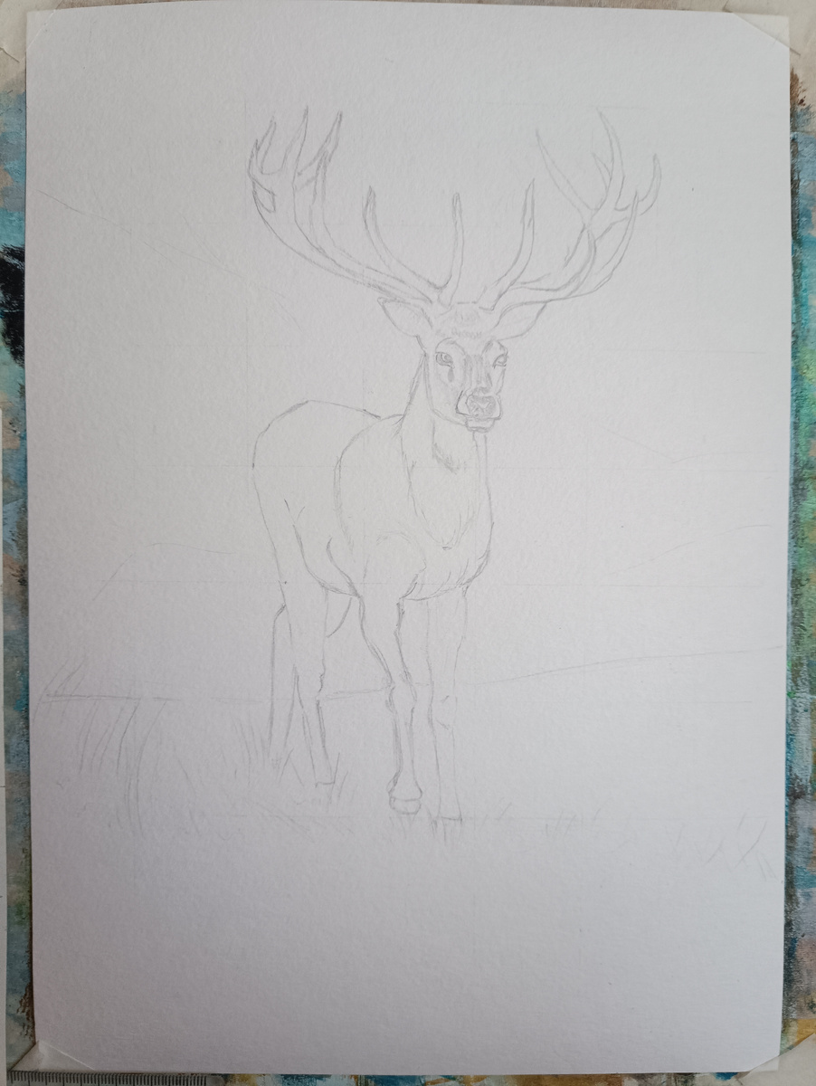 Фото автора Поспелова Евгения Ростов на Дону 