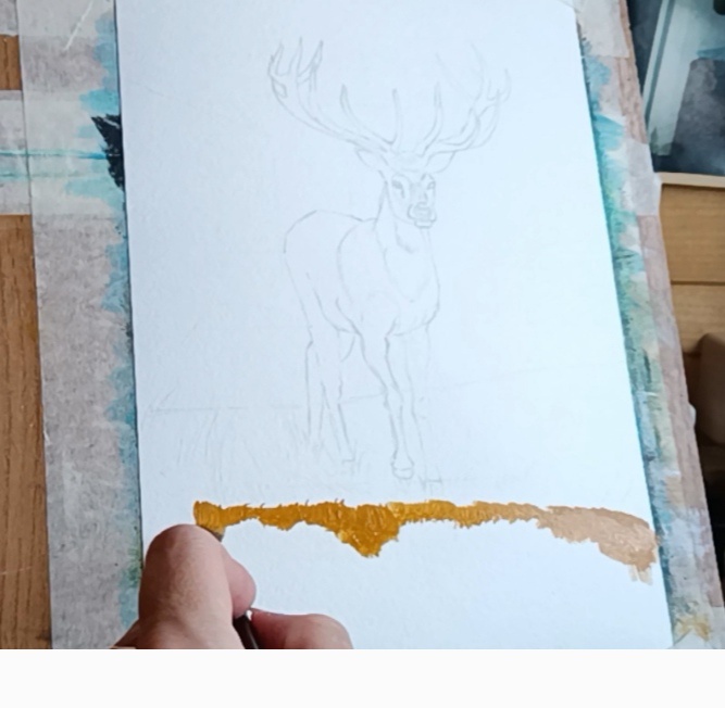 Фото автора Поспелова Евгения Ростов на Дону