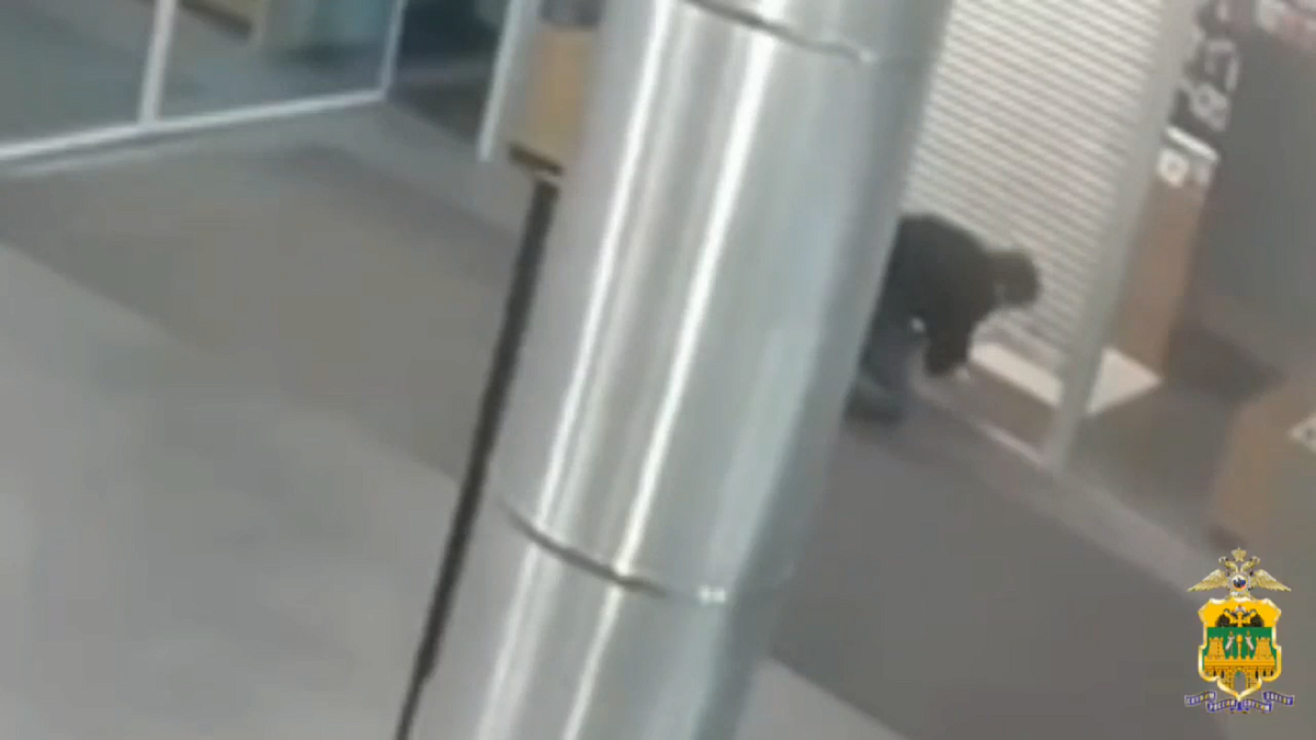    Фото: УМВД России по городу-курорту Сочи