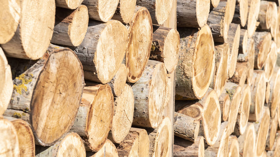 Фото: Игорь Елисеев / Коммерсантъ