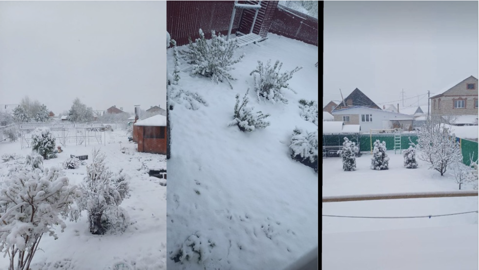 Сегодня из местных чатов увидел такие фотографии. Это в близлежащих городах...