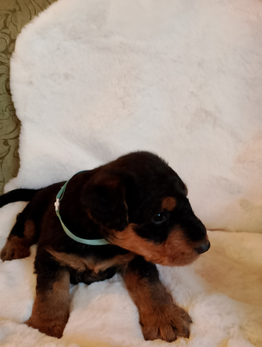 Такой она была больше половины её жизни назад