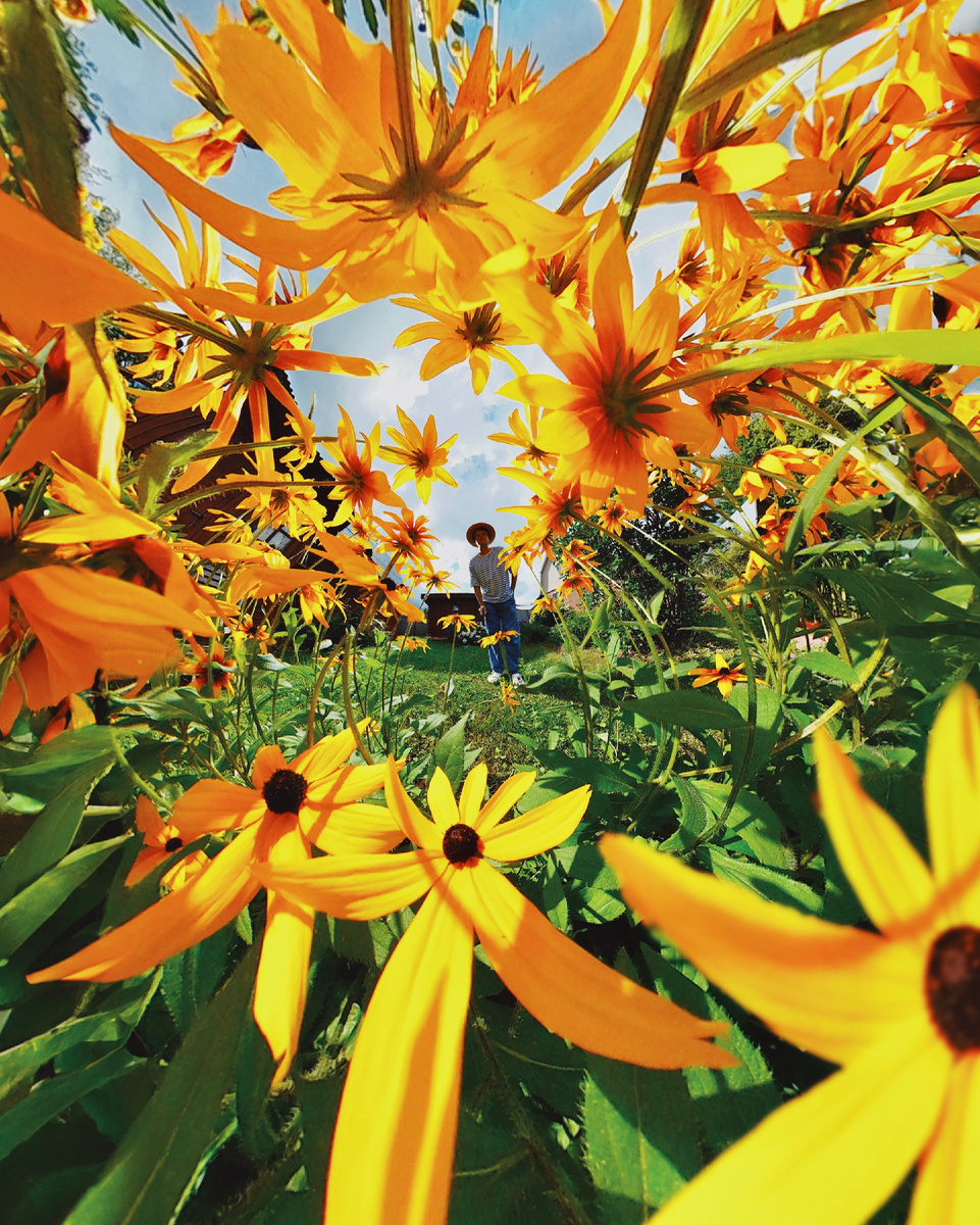 Автор: Алексей Моисеев @partyzzzan, 2024 г. 