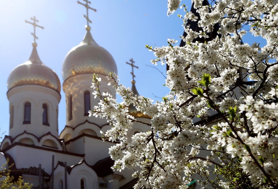 фото из открытого доступного источника сети интерет