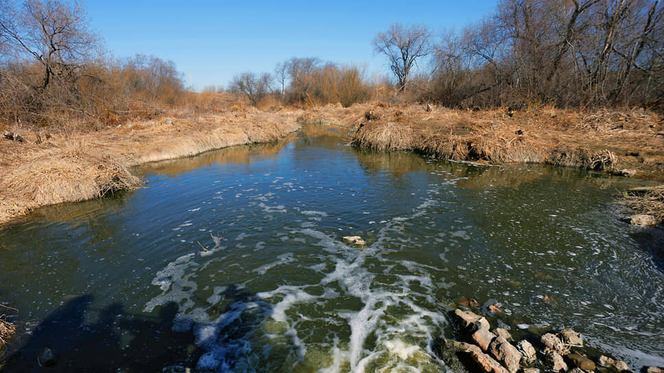 Фото: Марина Молдавская / Коммерсантъ