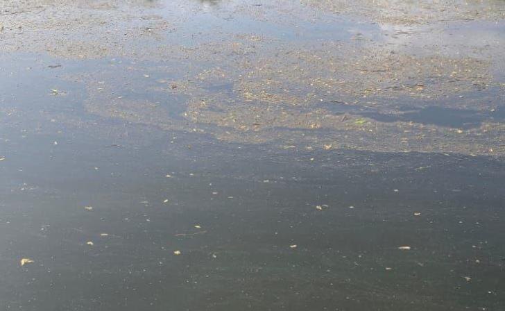    фото Курские известия