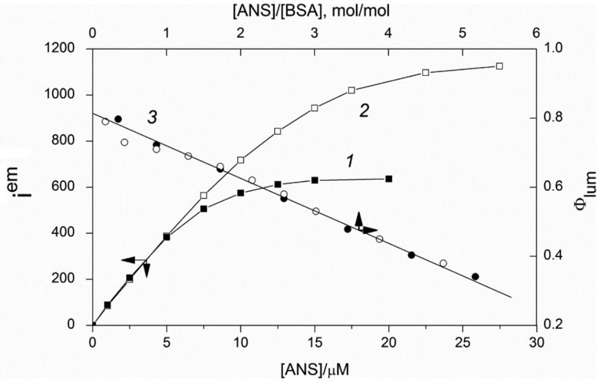   Рисунок 1. Зависимость интенсивности флуоресценции от концентрации 1,8-АНС (кривые 1 и 2) и квантового выхода флуоресценции от соотношения концентраций 1,8-АНС и БСА (кривая 3). Концентрация БСА составляет 2,9 µМ (закрашенные точки) и 5,8 µМ (светлые точки) / © Spectrochimica Acta Part A: Molecular and Biomolecular Spectroscopy