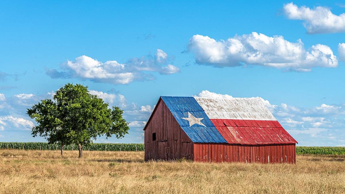    Фото: Shutterstock