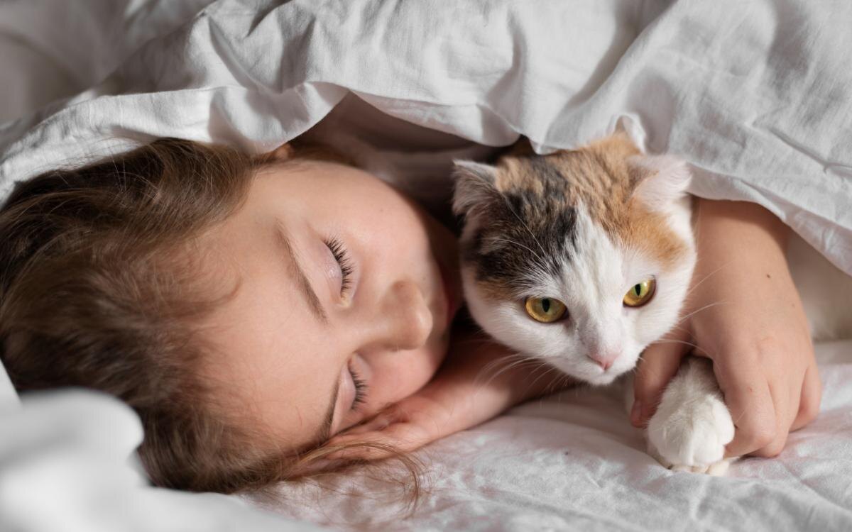 Фото https://yandex.ru/images/