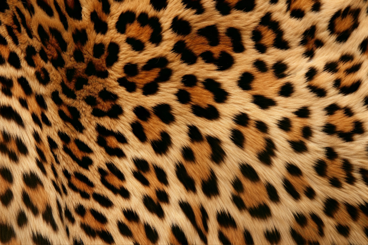 Фото с сайта freepik.com