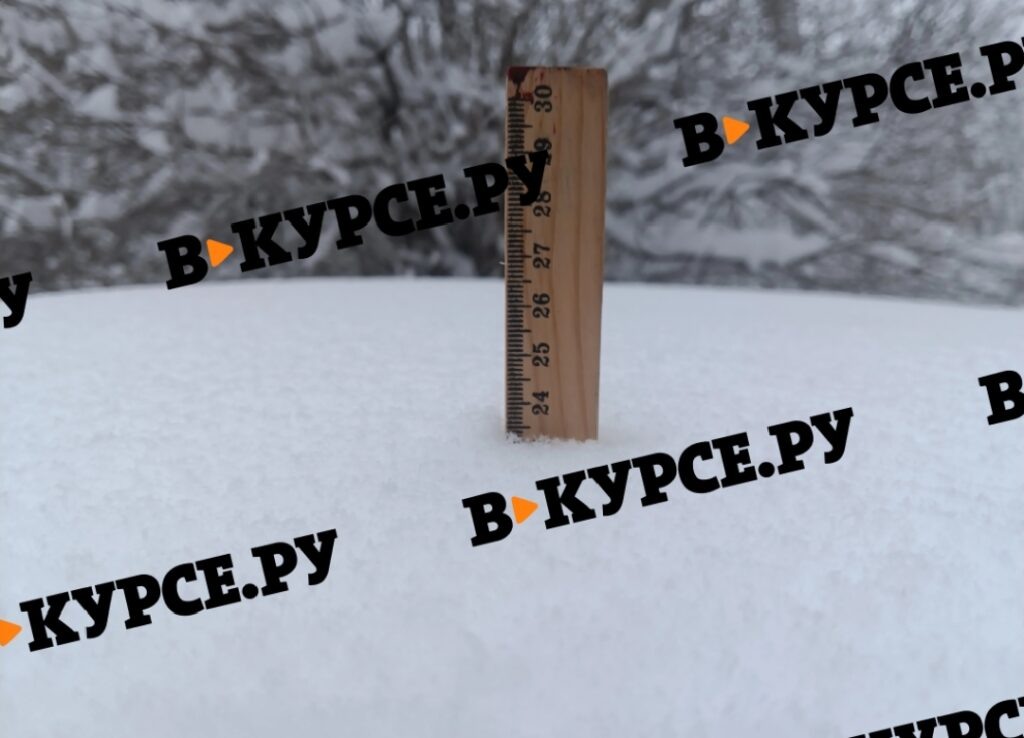    Фото: В курсе.ру Ульяна Бажанова