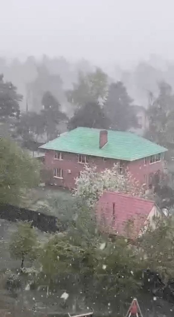 Московская область 27 апреля 2025 года. Снег.