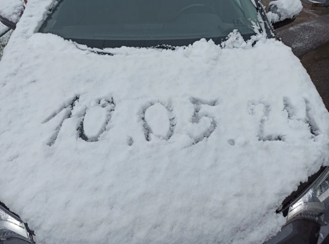 Май 2024 г. Фото из интернета