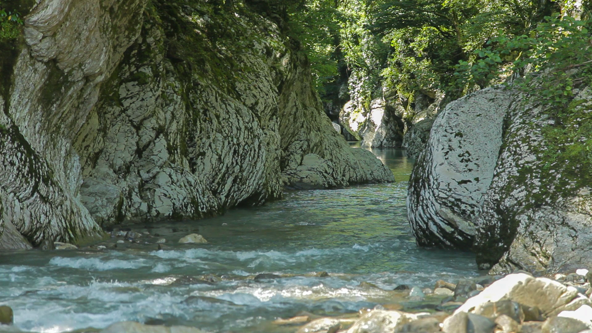 Фото: пресс-служба Кавказского заповедника  📷
