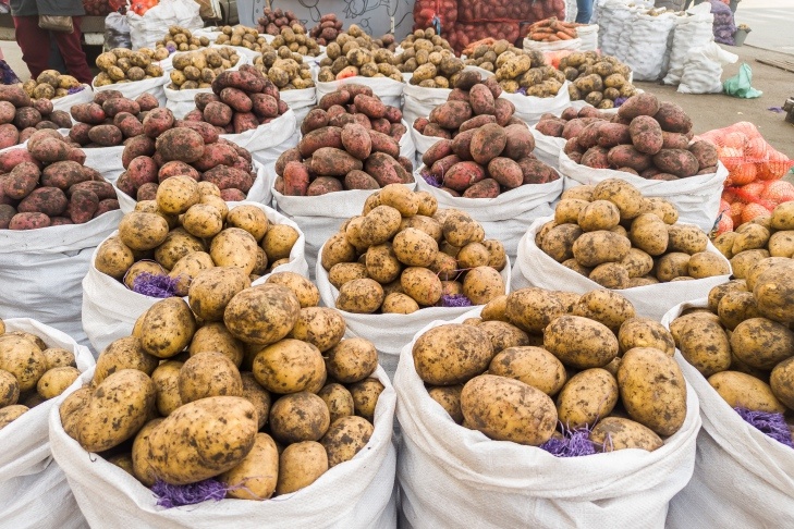    Фото Андрея Заржецкого