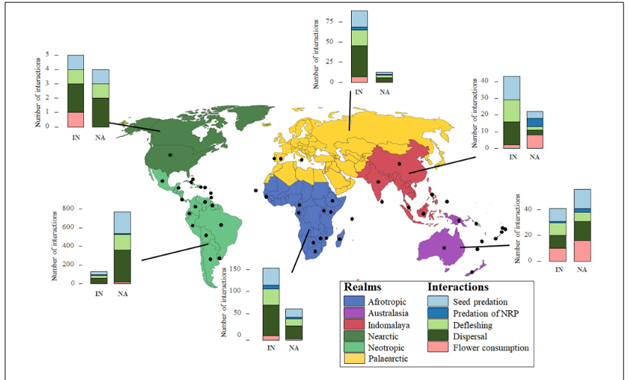 Количество взаимодействий между попугаями и пальмами в основных биогеографических областях мира, учитывая, был ли данный вид пальм в своем естественном (NA) или интродуцированном (IN) ареале. Черными точками отмечена область взаимодействия попугая и пальмы. NRP: части, не предназначенные для размножения (кора, листья и т.д.)