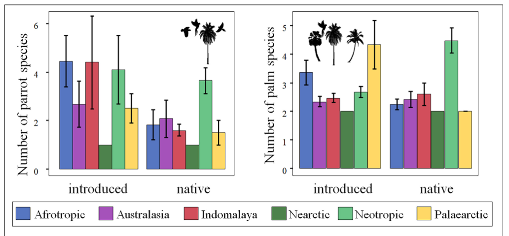 Среднее количество попугаев (доверительный интервал ±95%), взаимодействующих с пальмами, и количество пальм, взаимодействующих с попугаями в основных биогеографических
областях мира, с учетом того, был ли данный вид пальм в своем родном или интродуцированном ареале.