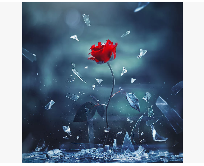 Яндекс.Картинки