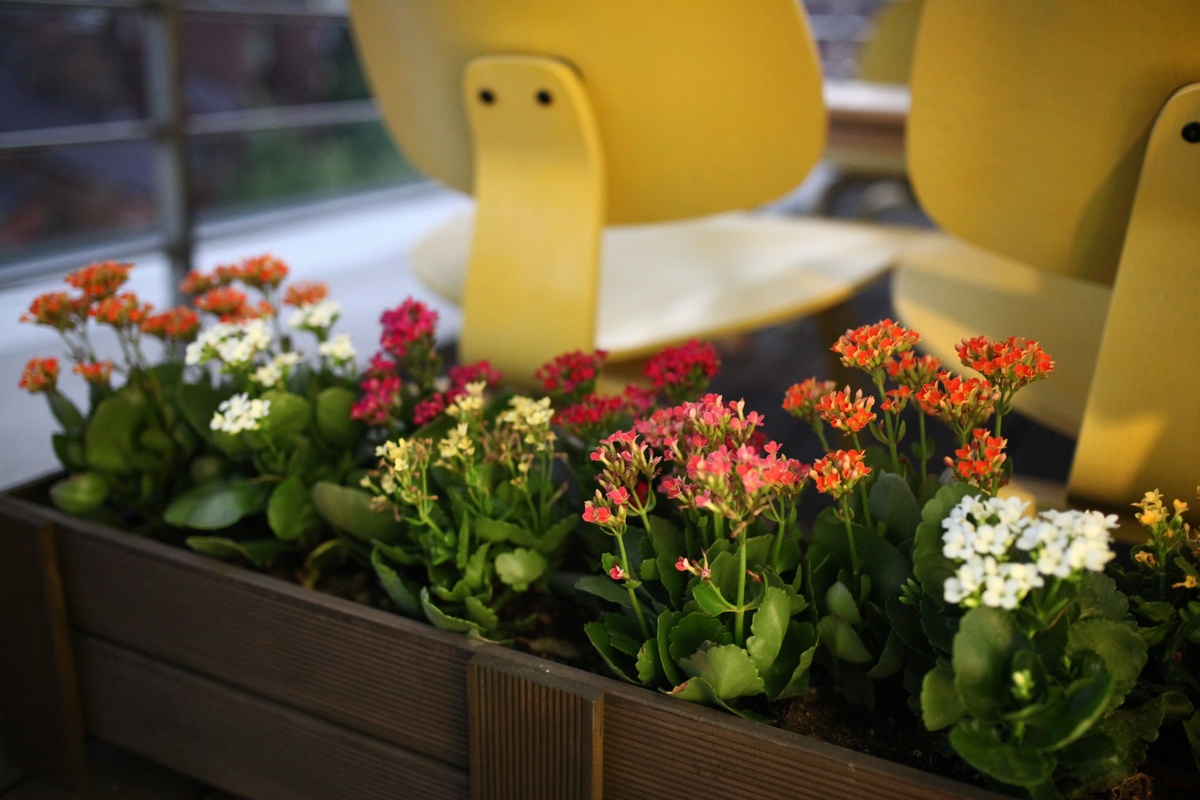 Photo by HYUN IL JO on Unsplash