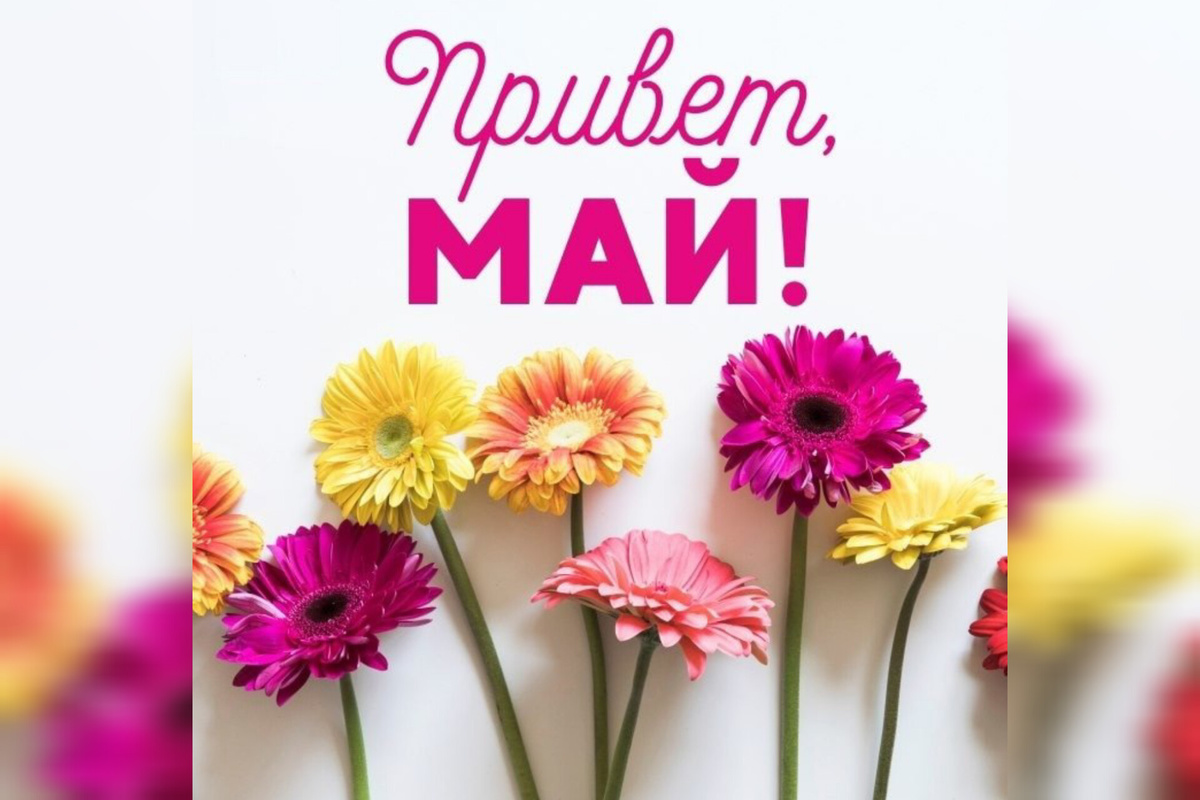 Фото из интернета 