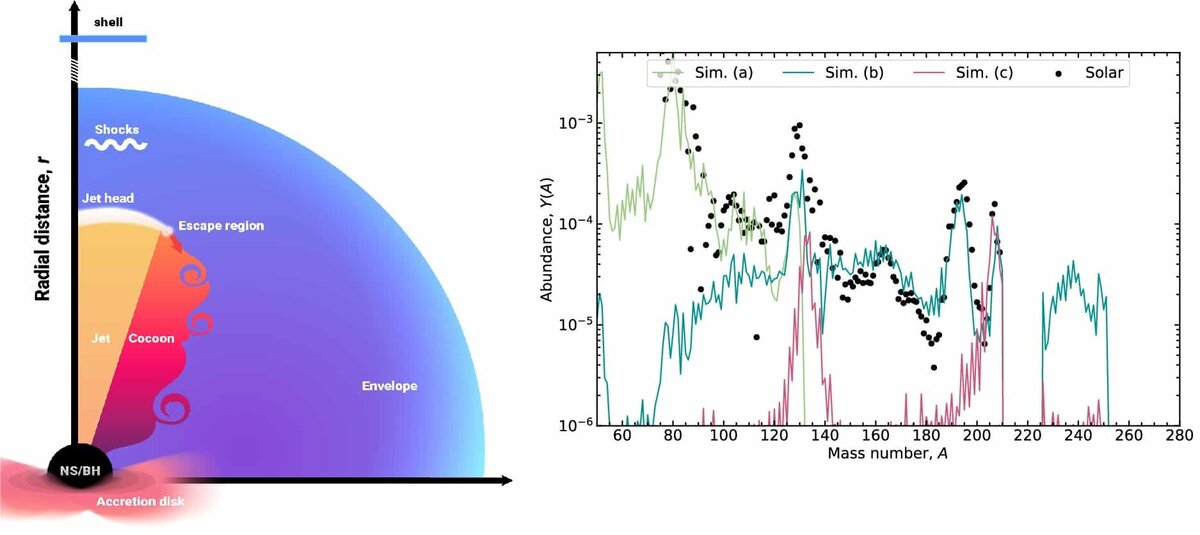    Слева: иллюстрация гамма-всплеска (желтый) у звезды, которая сбросила вещество (синее) и сжалась в черную дыру. Справа: график количества тяжелых ядер разной массы, которые могут образоваться в таком процессе при разных параметрах / © Munpower et al. The Astrophysical Journal (2025)
