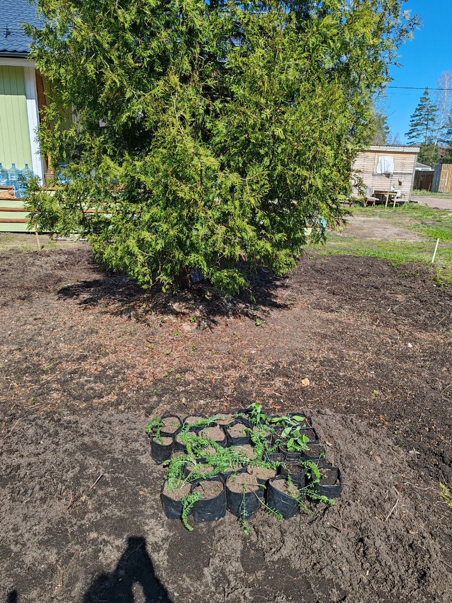 Трясутся от холода, бедолаги!