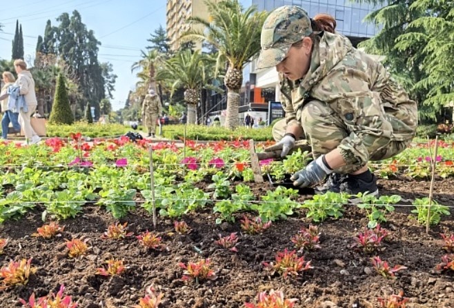    администрация Сочи