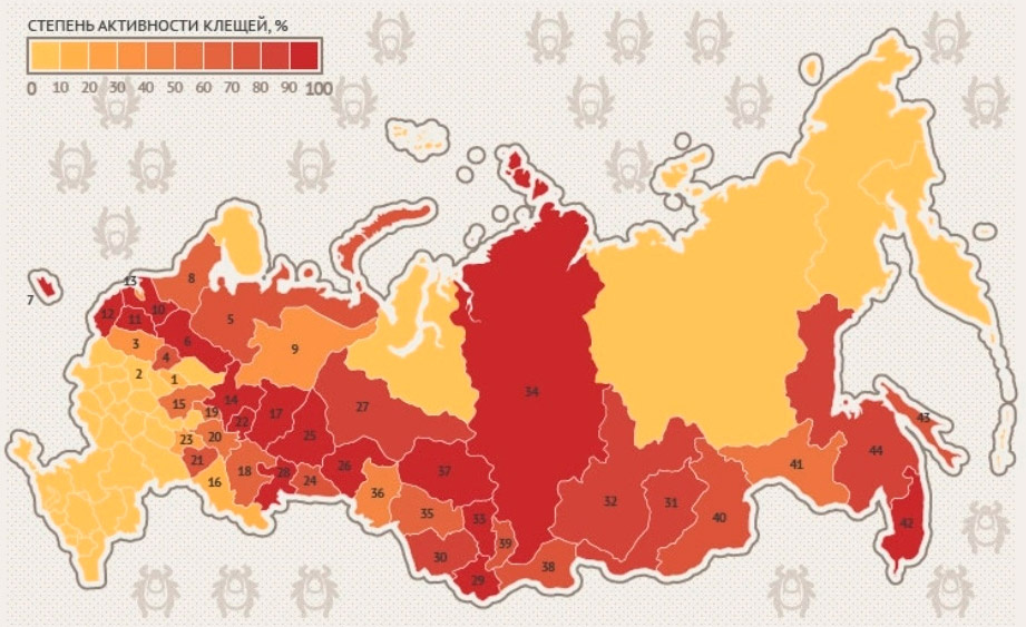 Где клещи активны? Фото: Роспотребнадзор