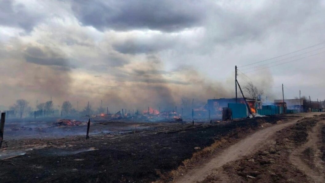    фото: соцсети