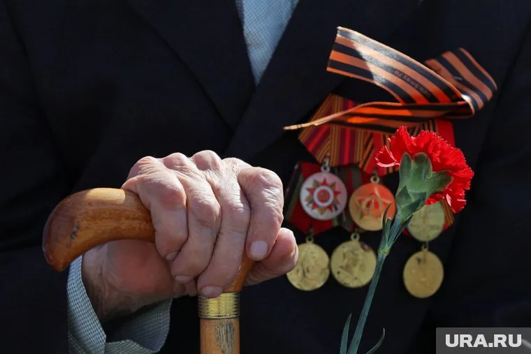 Курганские политики вспомнили родственников, которые спасали страну
Фото: Екатерина Сычкова © URA.RU