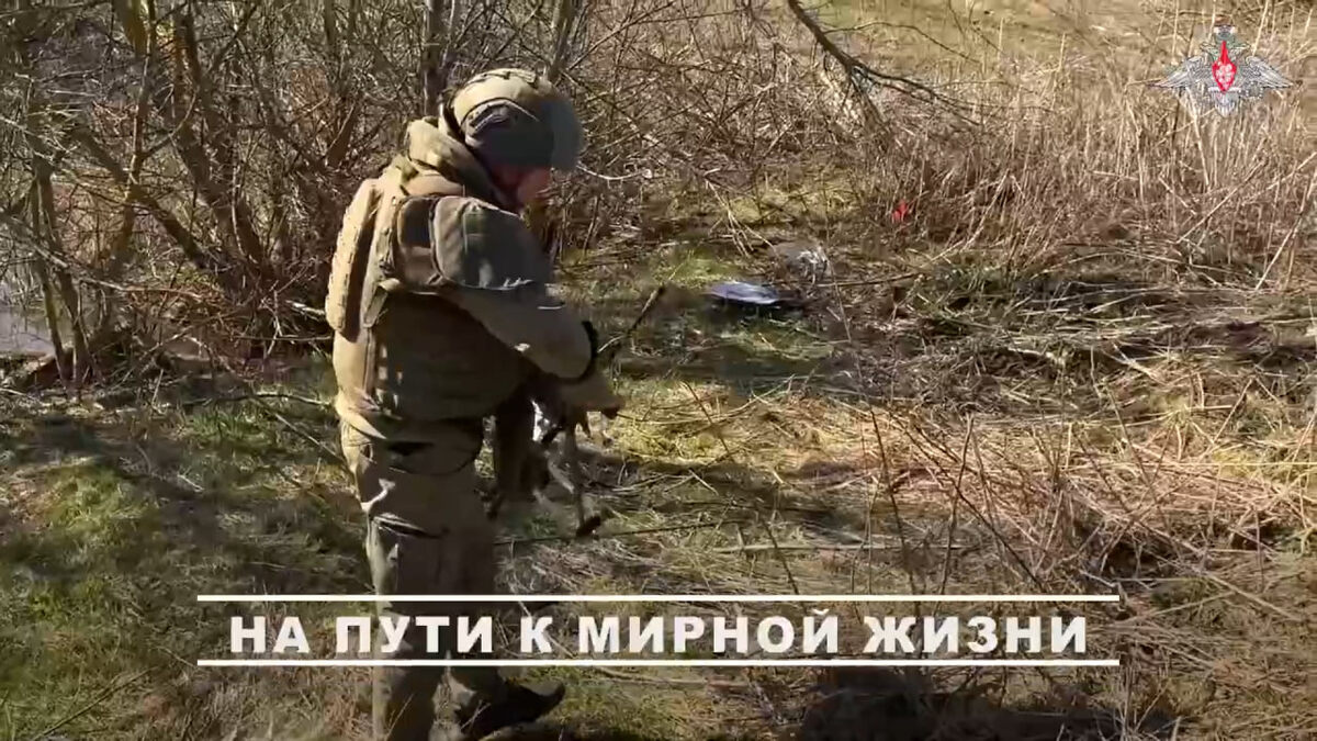    Группировка войск «Север» продолжает разминирование территорий в курском приграничье