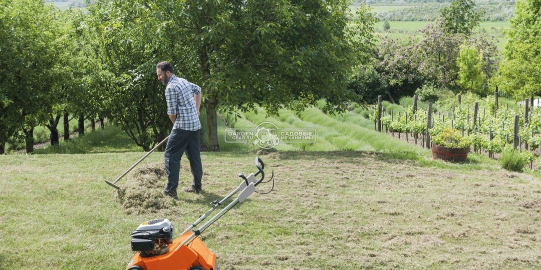 Рейтинг бензиновых вертикуттеров 2025