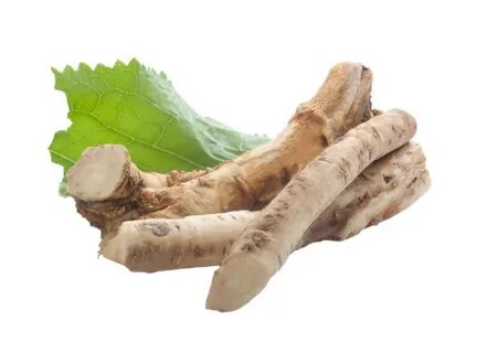 Хрен в народной медицине