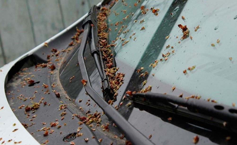 Фото: auto.ru