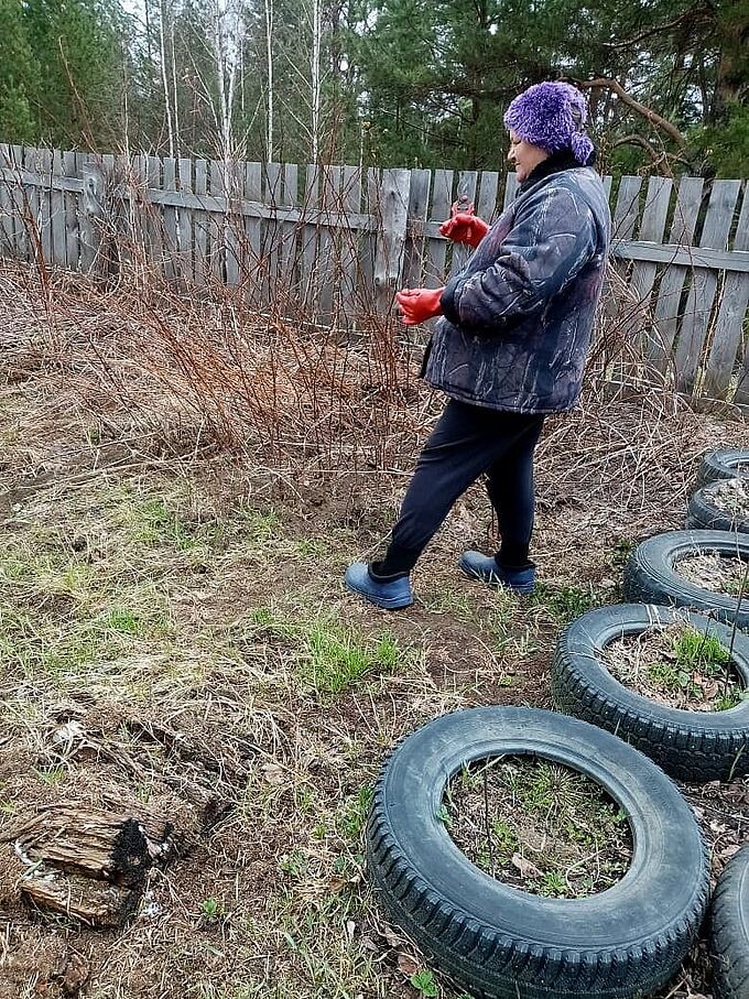 Уборка сухой поросли