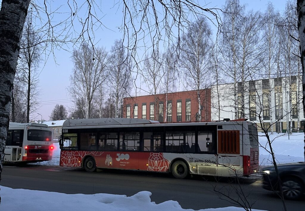    Фото: В курсе.ру Полина Анкушина