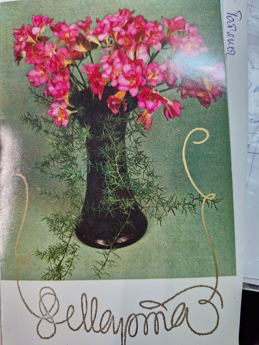 Мне поздравление!