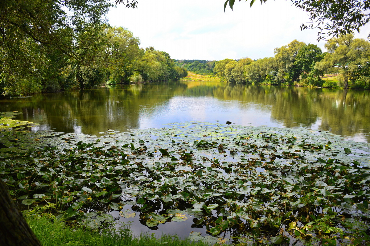 Все фотографии в статье мои и сделаны в августе 2024