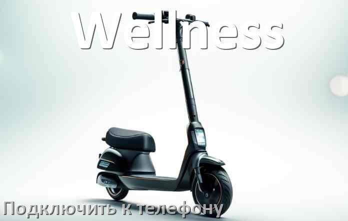 
Как подключить электросамокат Wellness к телефону по Bluetooth